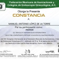 Ampliar imagen: certificate 29