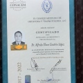 Ampliar imagen: certificate 3