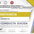 Ampliar imagen: certificate 8