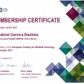 Ampliar imagen: certificate 4