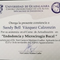 Ampliar imagen: certificate 11