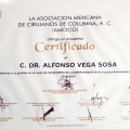 Ampliar imagen: certificate 8