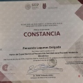 Ampliar imagen: certificate 12
