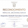 Ampliar imagen: certificate 35