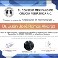 Ampliar imagen: certificate 3