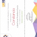 Ampliar imagen: certificate 19