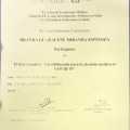 Ampliar imagen: certificate 12