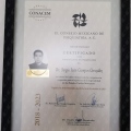 Ampliar imagen: certificate 1