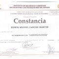 Ampliar imagen: certificate 17