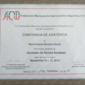 Ampliar imagen: certificate 13