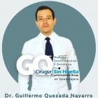 Dr. Guillermo Quezada Navarro