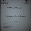 Ampliar imagen: certificate 9