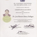 Ampliar imagen: certificate 3