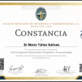 Ampliar imagen: certificate 8