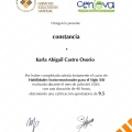 Ampliar imagen: certificate 9