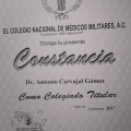Ampliar imagen: certificate 19