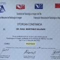 Ampliar imagen: certificate 44
