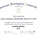 Ampliar imagen: certificate 3
