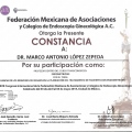 Ampliar imagen: certificate 52