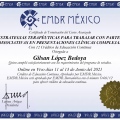 Ampliar imagen: certificate 11