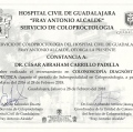 Ampliar imagen: certificate 6