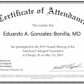 Ampliar imagen: certificate 4