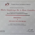 Ampliar imagen: certificate 6