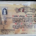 Ampliar imagen: certificate 3