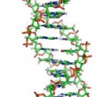 Lic. Consolacion Elizondo Aladro