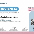 Ampliar imagen: certificate 4