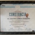 Ampliar imagen: certificate 6