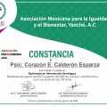 Ampliar imagen: certificate 5