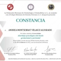 Ampliar imagen: certificate 4