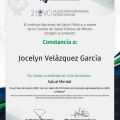 Ampliar imagen: certificate 8