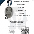 Ampliar imagen: certificate 3