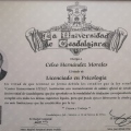 Ampliar imagen: certificate 3