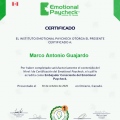 Ampliar imagen: certificate 10