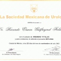 Ampliar imagen: certificate 125