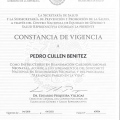 Ampliar imagen: certificate 3