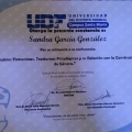 Ampliar imagen: certificate 3