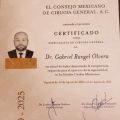 Ampliar imagen: certificate 1