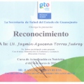 Ampliar imagen: certificate 20