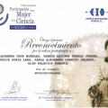 Ampliar imagen: certificate 26