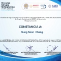Ampliar imagen: certificate 23