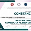 Ampliar imagen: certificate 5