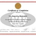 Ampliar imagen: certificate 8