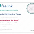 Ampliar imagen: certificate 4