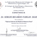Ampliar imagen: certificate 17