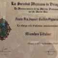 Ampliar imagen: certificate 37