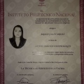 Ampliar imagen: certificate 5